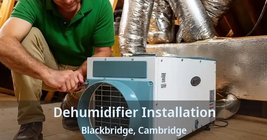 Dehumidifier Installation Blackbridge, Cambridge - ON