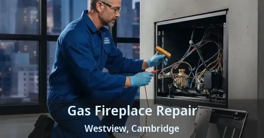 Gas Fireplace Repair Westview, Cambridge - ON