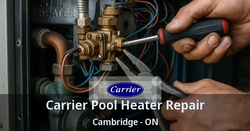 Carrier Pool Heater Repair Cambridge - ON